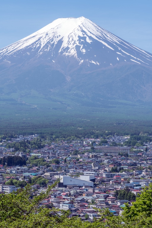 [NAGANO] - ĐƠN HÀNG THỰC PHẨM - Cắt gọt hoa quả